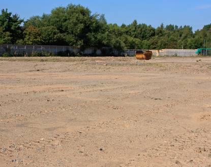 LAND CLEARING